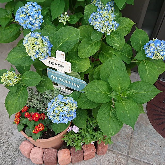 noritamaさんの実例写真