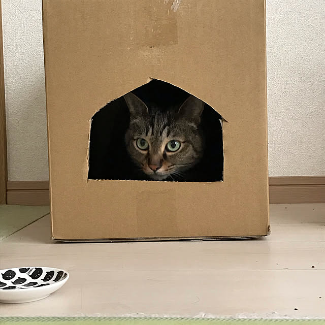 miさんの実例写真