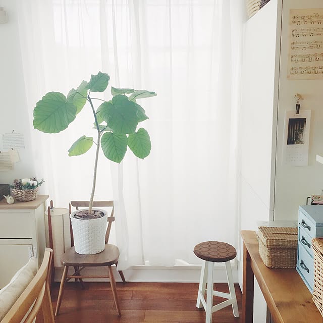azuさんの実例写真