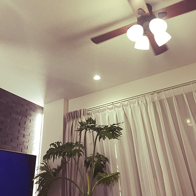 Yukikoさんの実例写真