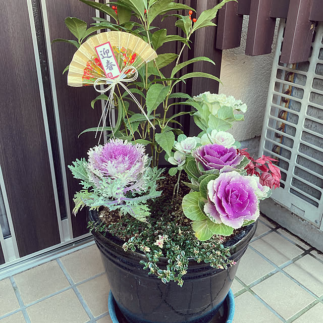 kochans777さんの実例写真