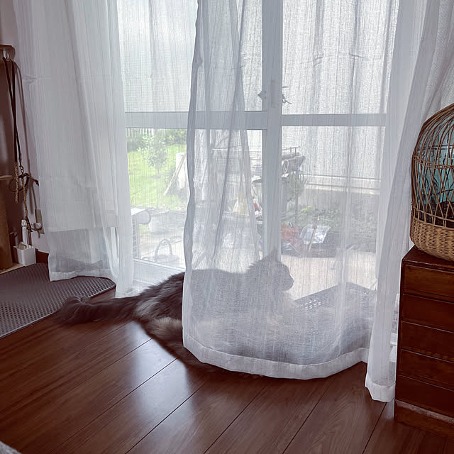 mayumiさんの実例写真