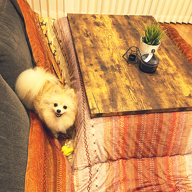 t.k.mさんの実例写真