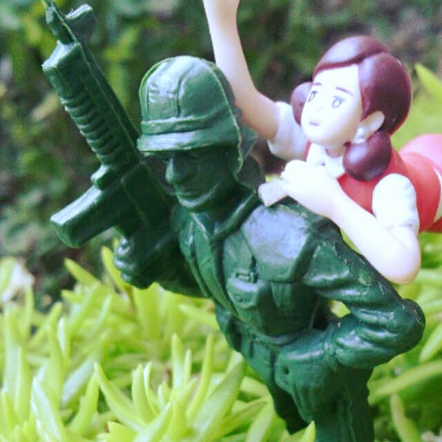 akr29さんの実例写真