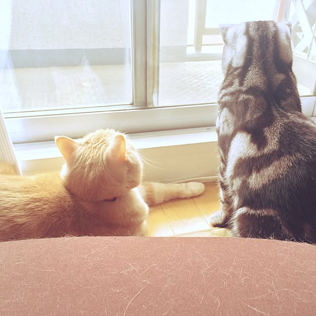 minaminaさんの実例写真
