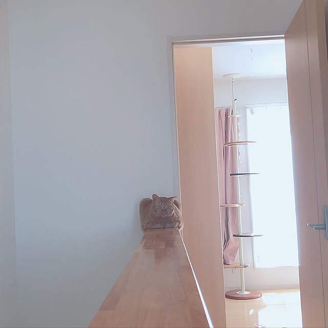 lady.cocoさんの実例写真