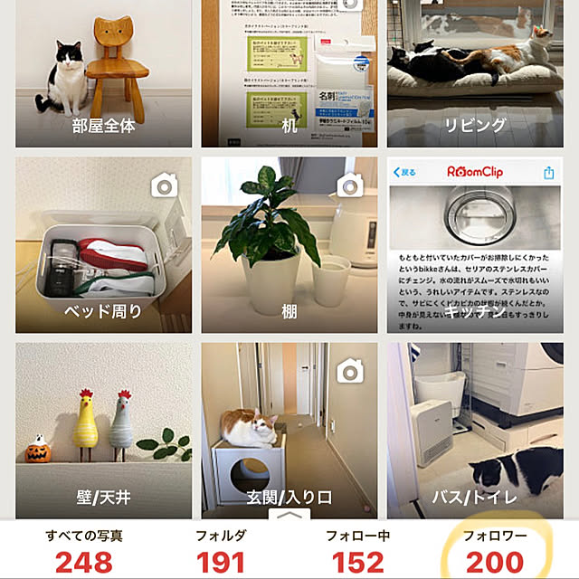 実例写真