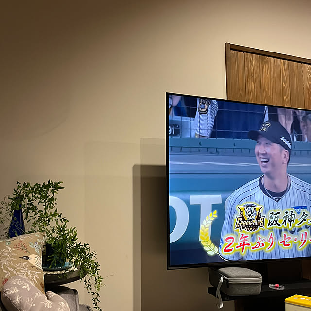 cotaさんの部屋
