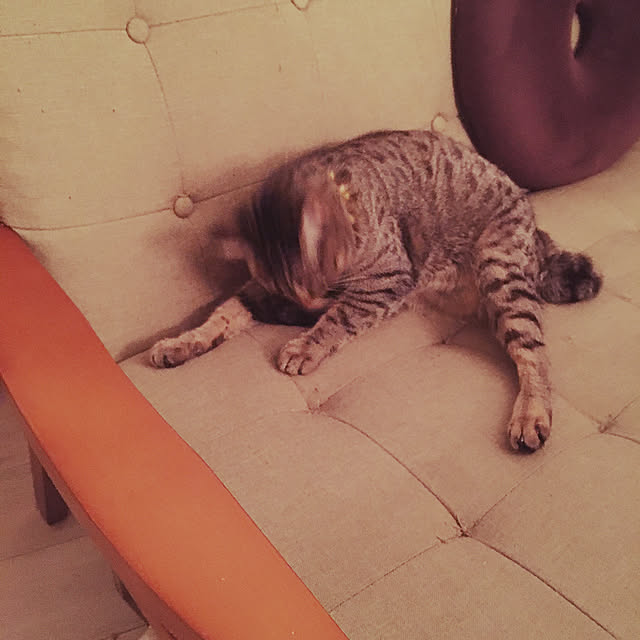 Mさんの実例写真