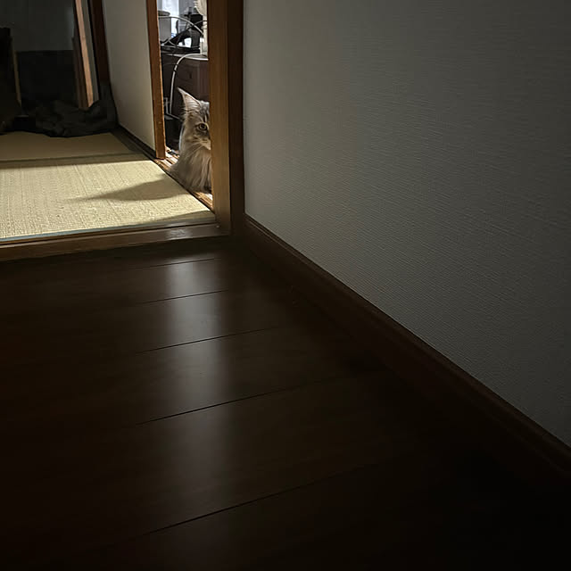 mayumiさんの部屋