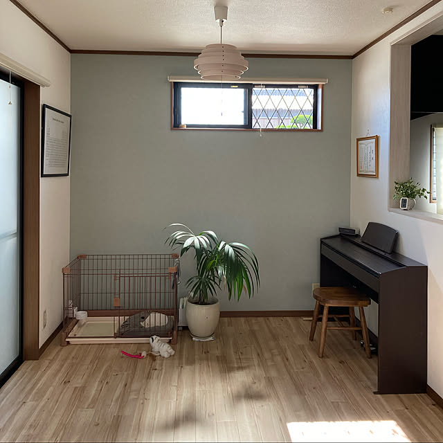 plameden15さんの実例写真