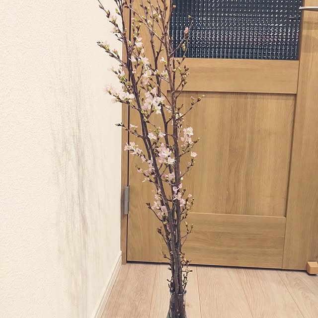 NAOKIさんの部屋