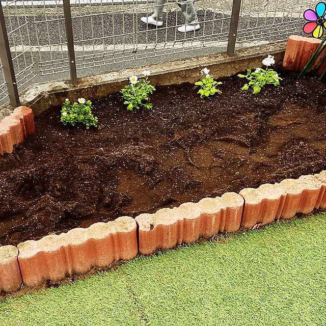 Ippeiさんの実例写真