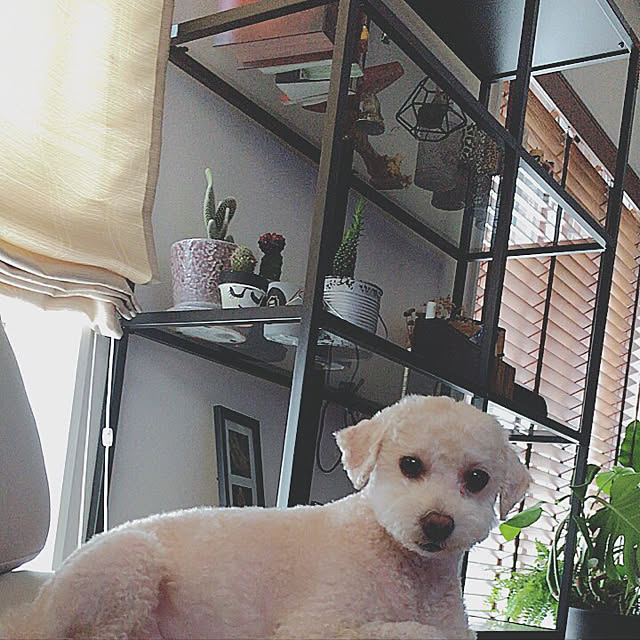 Karinさんの実例写真