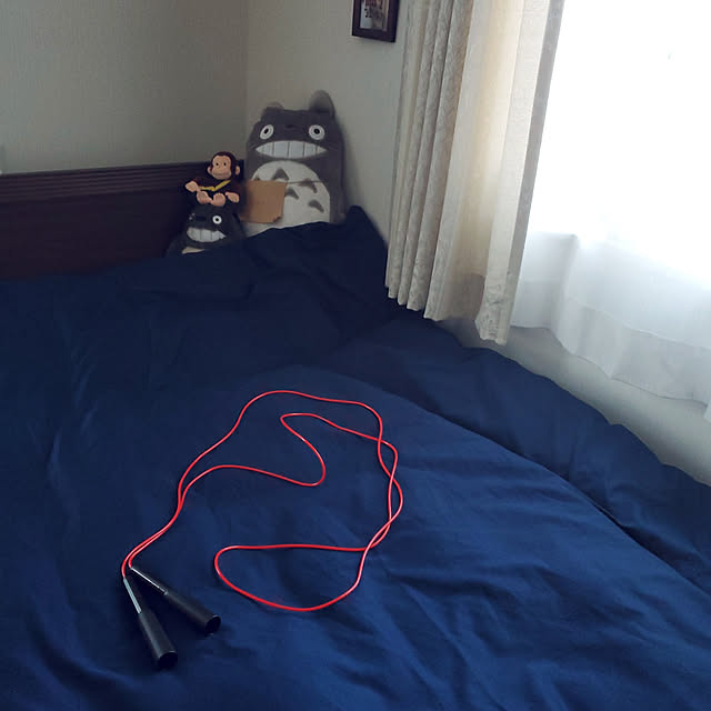 totoroさんの実例写真