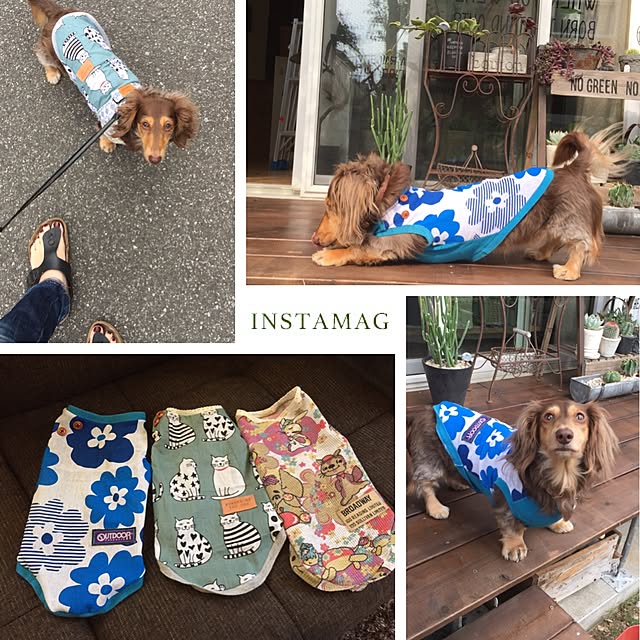 yupponさんの実例写真