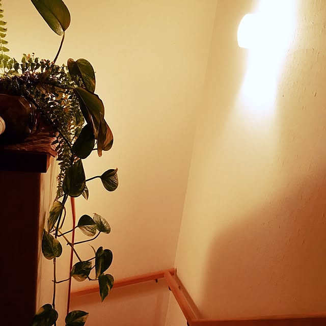 Mayumiさんの実例写真