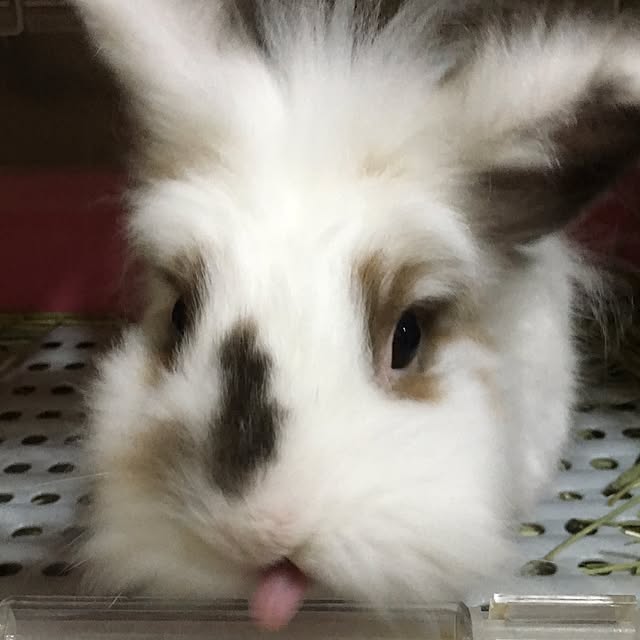 mokaraiさんの実例写真