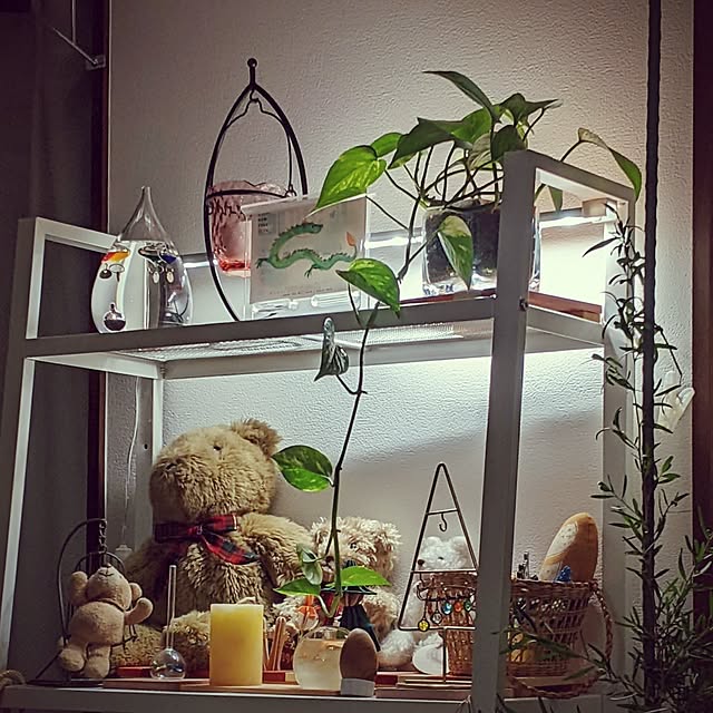 mi-saさんの実例写真