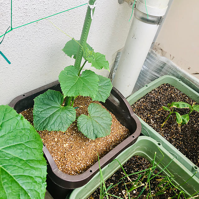 hanachanさんの部屋