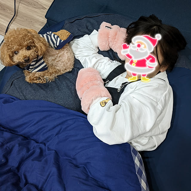 himamaさんの実例写真