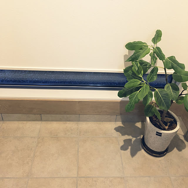 coscosさんの実例写真