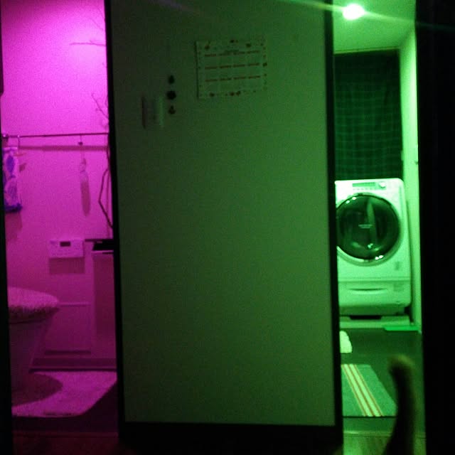 porinさんの実例写真