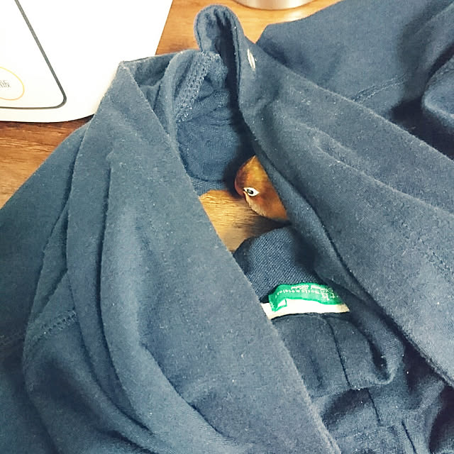s.p.sunaoさんの実例写真