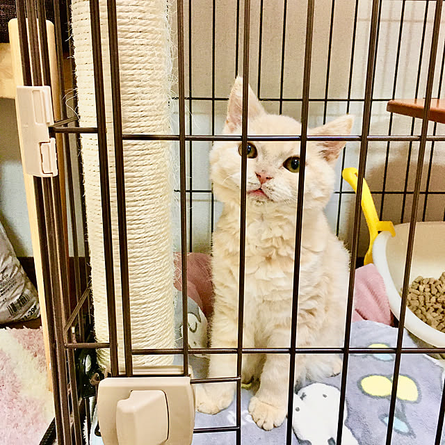 naokoさんの実例写真
