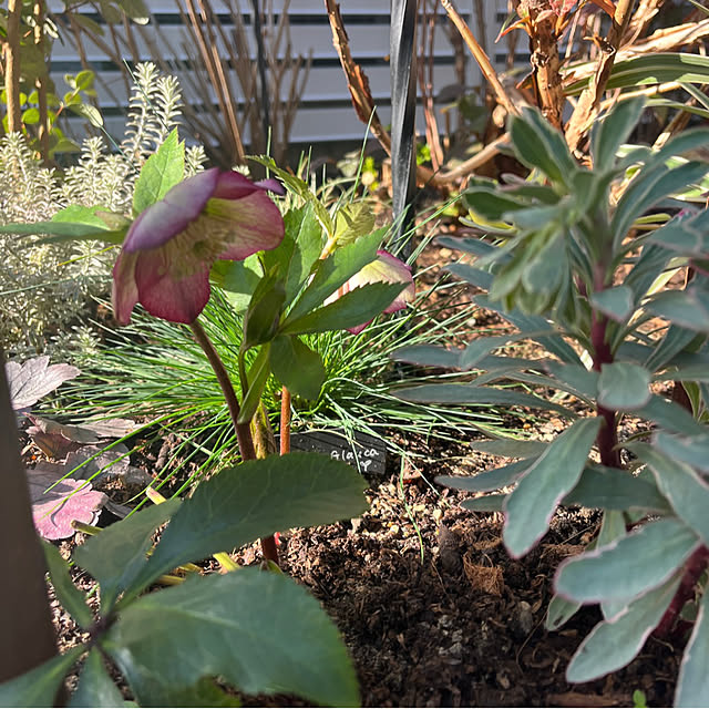 felicityさんの部屋