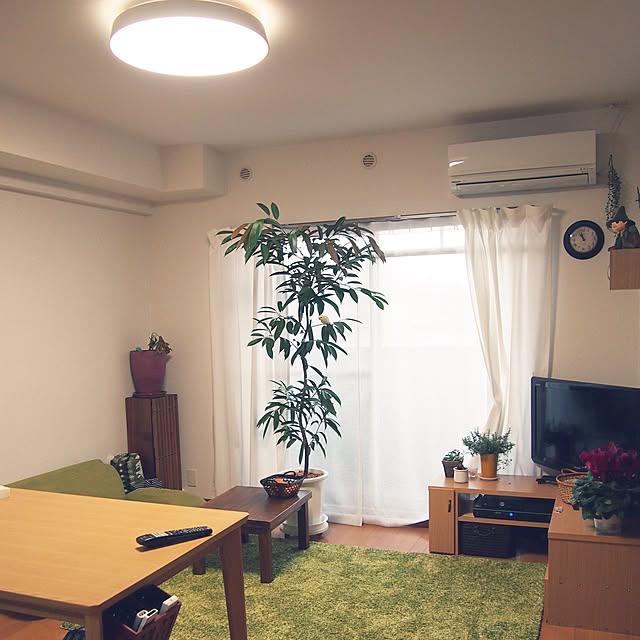 shirokinaさんの実例写真