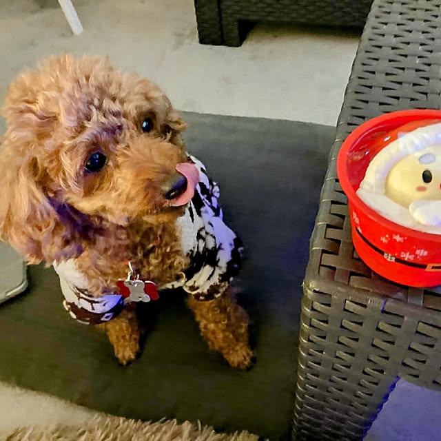 MOMOMAMAさんの実例写真