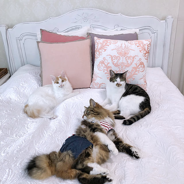 yuchiさんの実例写真