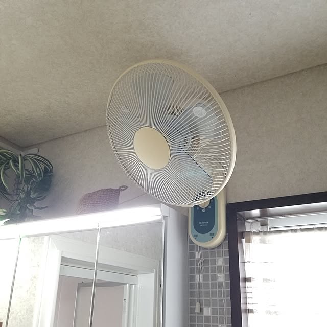 midoriさんの実例写真