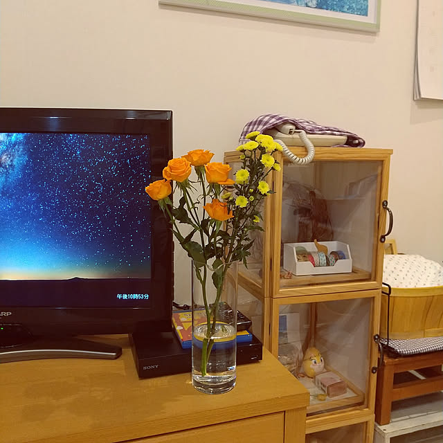 iketoさんの実例写真