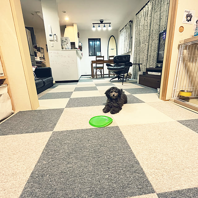 kotowakaさんの実例写真