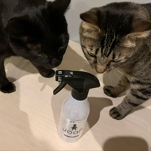 neko_daisukiさんの実例写真