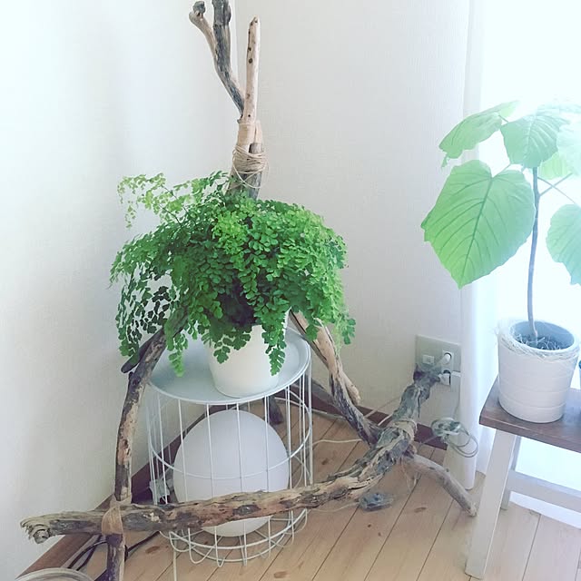 sakiyukaさんの実例写真