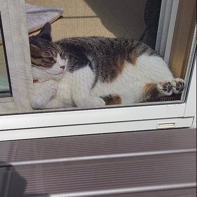 civicglさんの実例写真