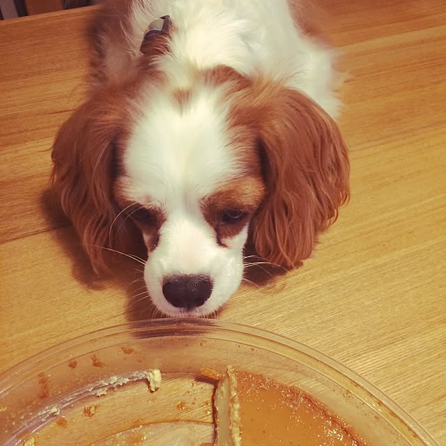 77さんの実例写真