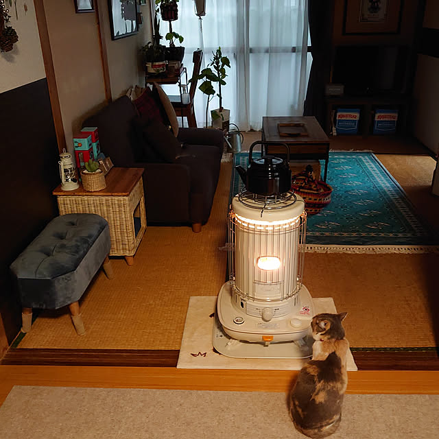 fukuさんの実例写真
