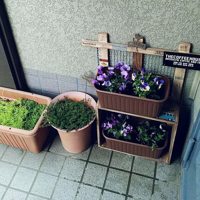 satoさんの実例写真