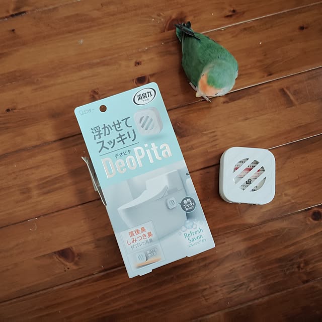 aoinokimiさんの部屋