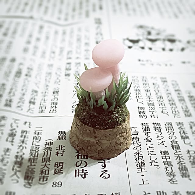 ramuchop3000さんの実例写真