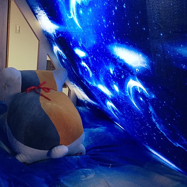 satukori0204さんの実例写真