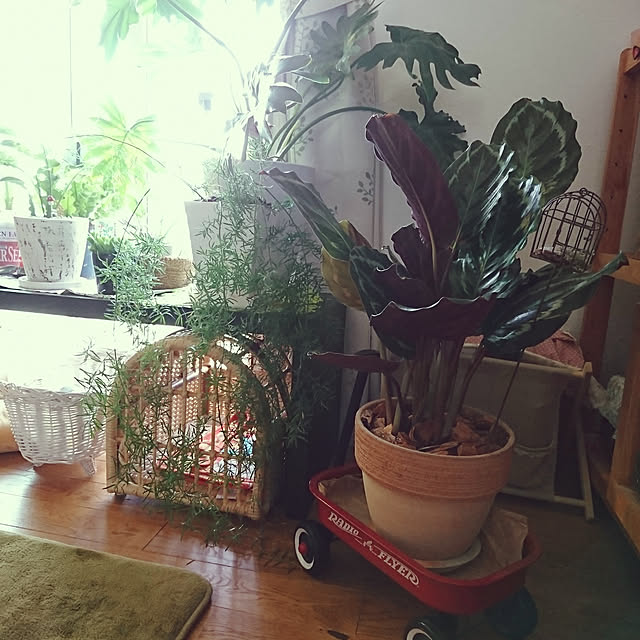 akiさんの実例写真