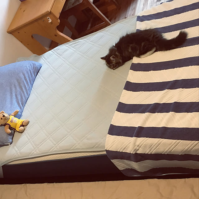 mikicatさんの実例写真