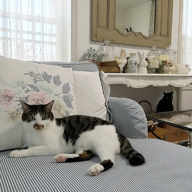 yuchiさんの実例写真
