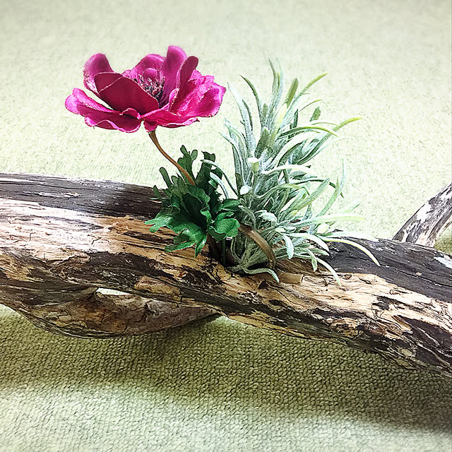 sarieさんの実例写真