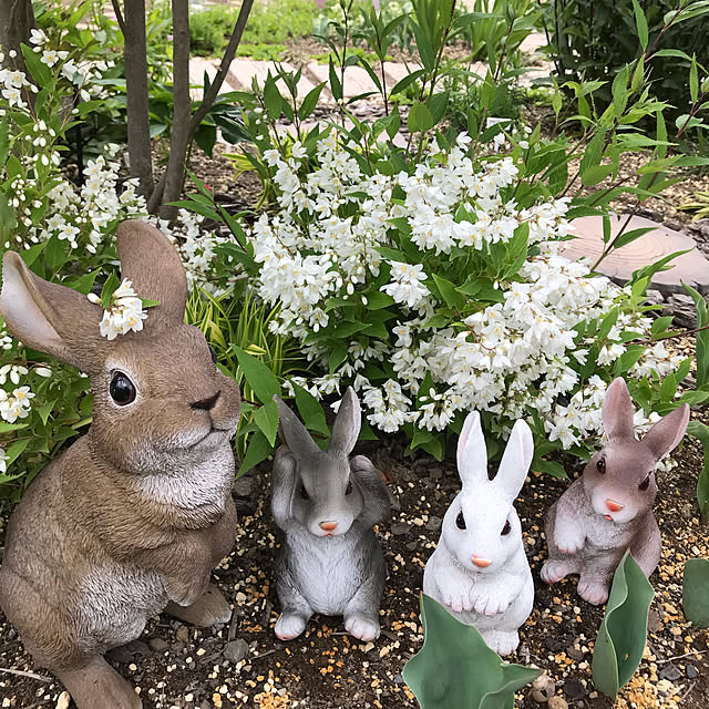 akoさんの実例写真